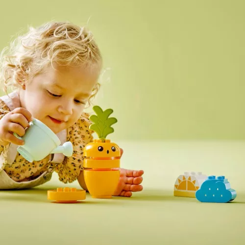 Joc LEGO® DUPLO® - Primul meu morcov care creste 10981, 11 piese