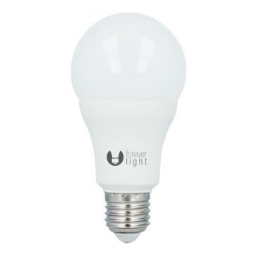 Bec LED Forever Light, bulb E27, 15W, 6000K (lumina rece)