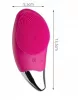 Aparat pentru masaj facial Sonic Facial Brush