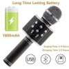 Microfon Karaoke WS858, negru