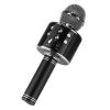 Microfon Karaoke WS858, negru