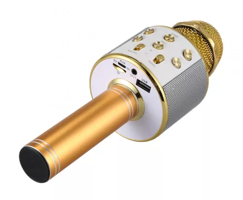 Microfon Karaoke WS858, auriu