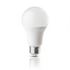 Bec LED Total Green, lumina rece, 13W (100W), 1300 lm, 5000 K