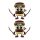 Stickere Cappuccino Assassino, Vinyl / PP autoadeziva Glossy, 2 bucati