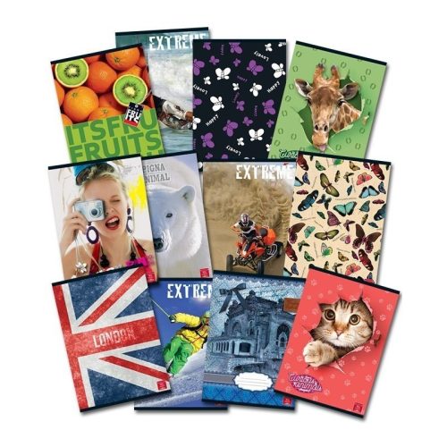 Caiet scolar A5 Pigna Clasic, 48 file, dictando, coperta color, diverse modele