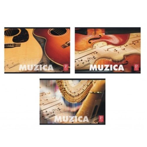 Caiet special A5 Pigna, 24 file, muzica, diverse modele 