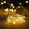Instalatie Craciun, 2 m, alb cald, 20 Led-uri, functionare cu baterii
