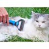 Pieptene pentru părul de animale, dispozitiv de ingrijire cu două fețe, albastru