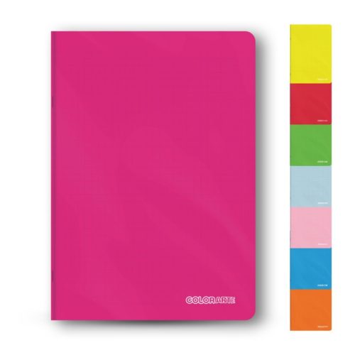 Caiet scolar A5 Colorarte, 48 file, dictando, colturi rotunjite, coperta plastic 230microni, 70g/mp