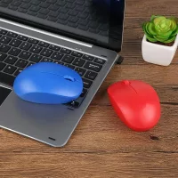 Accesorii IT & PC