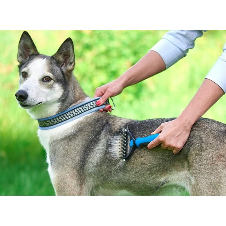 Pieptene pentru părul de animale, dispozitiv de ingrijire cu două fețe, albastru — varianta 3