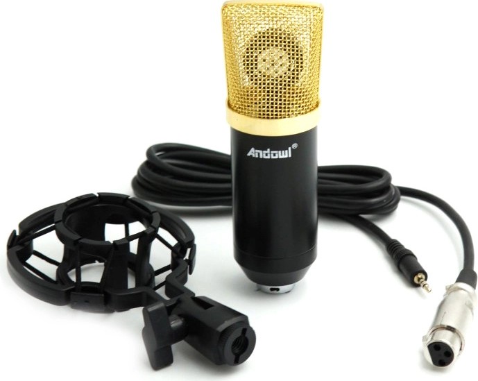 Microfon profesional Andowl Q-Mic3 pentru karaoke, vlogging, podcast, negru/auriu — varianta 4